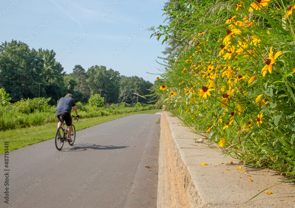 Bicyclist on a Paved Path on a Sunny Day Bicyclist on a Paved Path on a Sunny Day