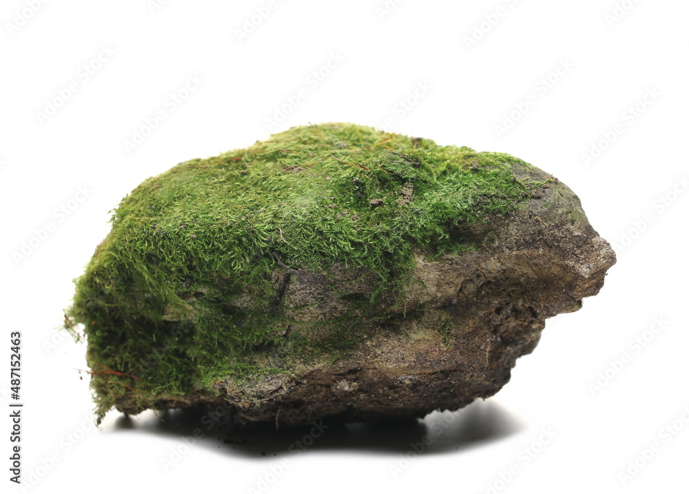 Green moss on stone, isolated on white Green moss on stone, isolated on white