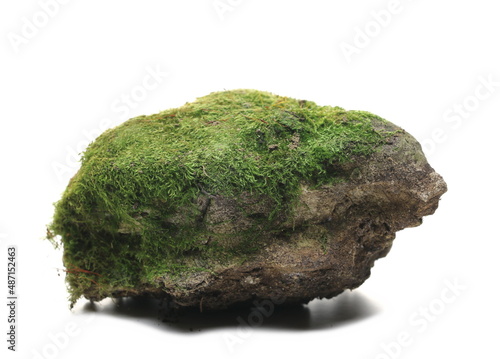 Green moss on stone, isolated on white 