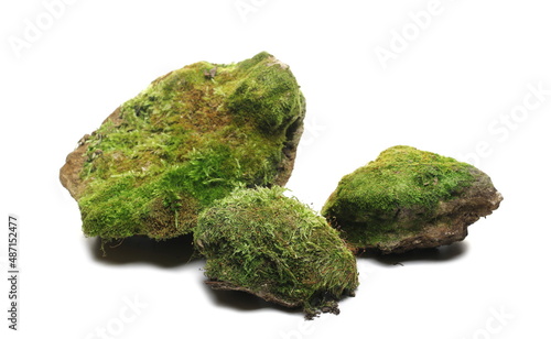 Green moss on group stone, isolated on white 