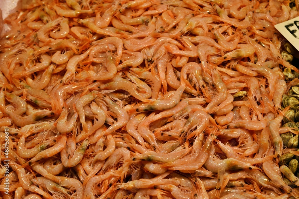 Fresh and healthy seafood prawns for sale at a market Fresh and healthy seafood prawns for sale at a market