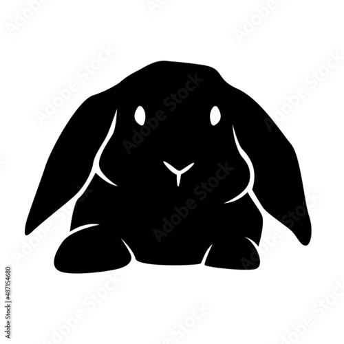 LAPIN 5