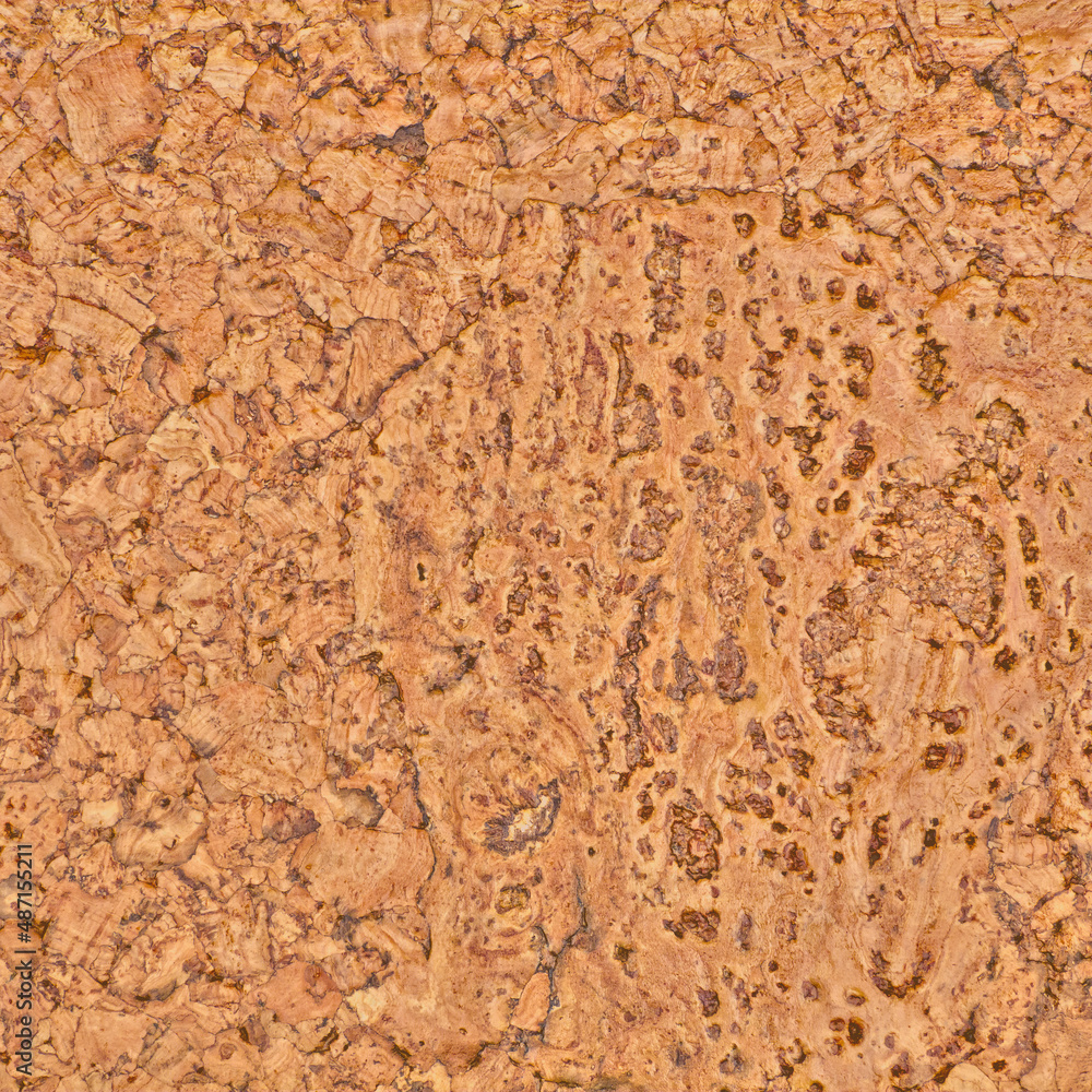Cork in natural light for texture or background Cork in natural light for texture or background