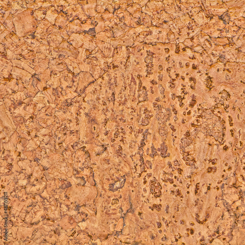 Cork in natural light for texture or background