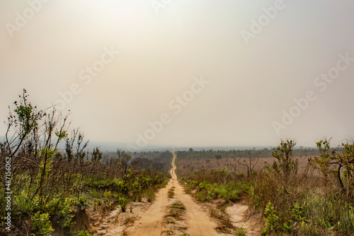 Misty morning in the field, Democratic Republic of Congo.  photo