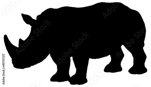 Black and white vector silhouette of a standing adult white rhinoceros. Isolated on white background.