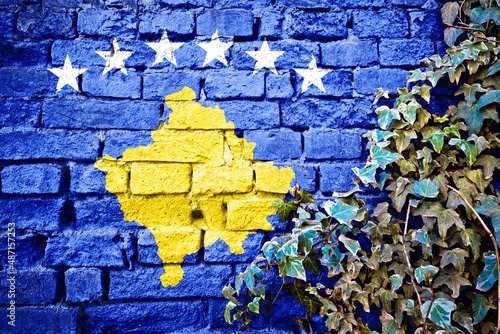 Kosovo Republic grunge flag on brick wall with ivy plant photo