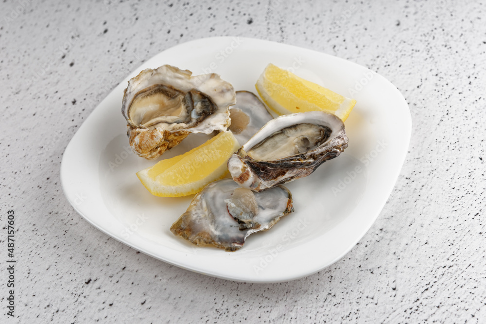 Oysters in plate on grey background Oysters in plate on grey background