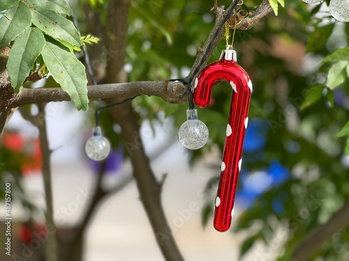 Red candy cane and light bulbs on a tree branch. © Tristan