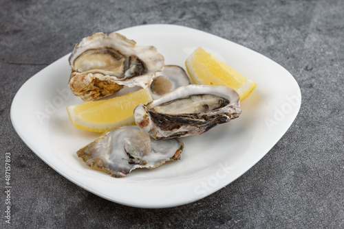 Oysters in plate on grey background