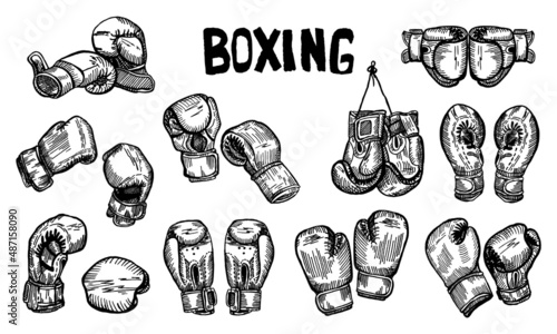 Set boxing gloves hanging on title sketch isolated. Sporting equipments for boxing in hand drawn style.