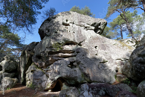 Boulders in the hill of the Dame Jouanne rock. Fontainebleau forest