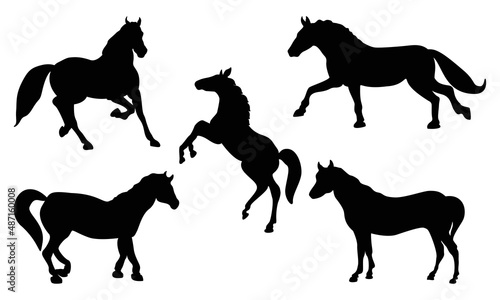 Horse Vector