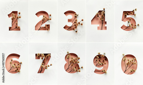 Fototapeta Naklejka Na Ścianę i Meble -  Beige cut out number shapes with dry grass and flowers. Numbers one to ten with dry twigs on off white paper background.