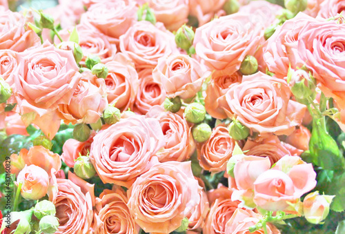 roses background, delicate pink roses close-up, flower background, © shabbydecor