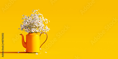 Fototapeta Bouquet of fresh chamomile in old yellow tea pot on vivid yellow spring backgrou