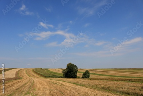 Wiejskie pola