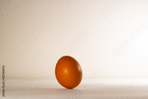 Brown chicken egg, standing upright. White background, white base and brown chicken egg.