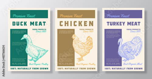 Premium Finest Poultry Meat Vector Packaging Product Label Design Collection Retro Typography and Hand Drawn Duck, Chicken, Turkey Sketch Silhouettes Background Layouts Set