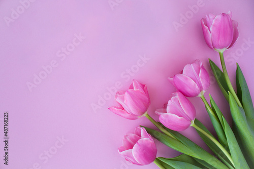 Fototapeta Naklejka Na Ścianę i Meble -  Top view on pink tulips on the pink background. Copy space. Spring background.