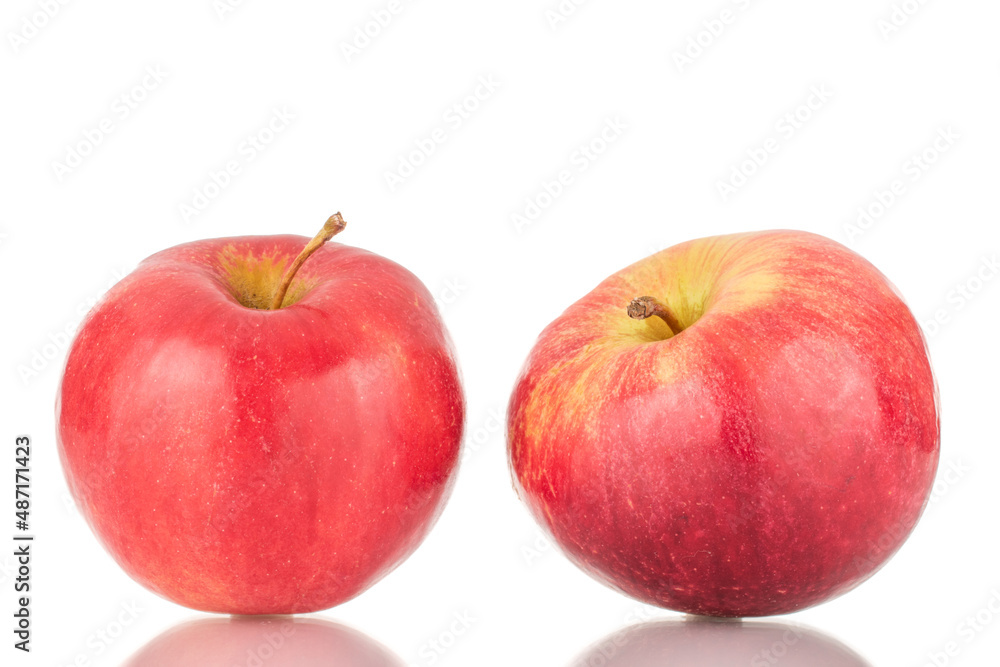 Two ripe red apples, macro, isolated on white background. Two ripe red apples, macro, isolated on white background.
