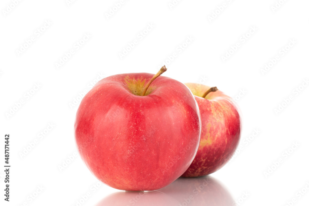 Two ripe red apples, macro, isolated on white background.