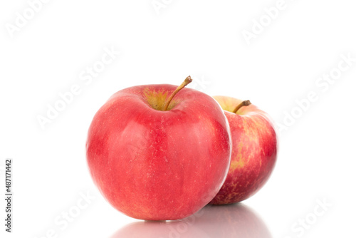 Two ripe red apples, macro, isolated on white background.