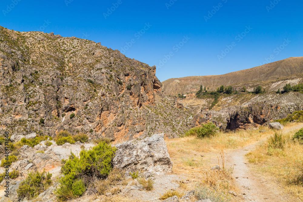 Naklejka premium Los cahorros trail