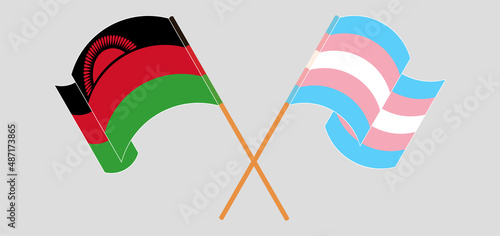 Crossed and waving flags of Malawi and Transgender Pride