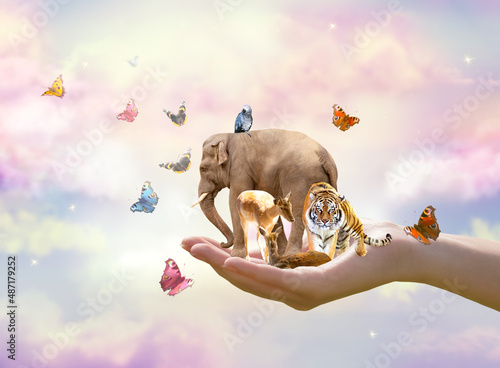 World Wildlife Day or Earth Day concept. Group of wild animals and flock of flying butterflies in human hand. Save our planet, protect green nature and endangered species, biological diversity theme.