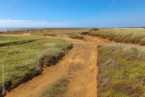 Visitors to Papakolea, also called Mahana Green Sand Beach must navigate a series of rutted dirt roads. photo