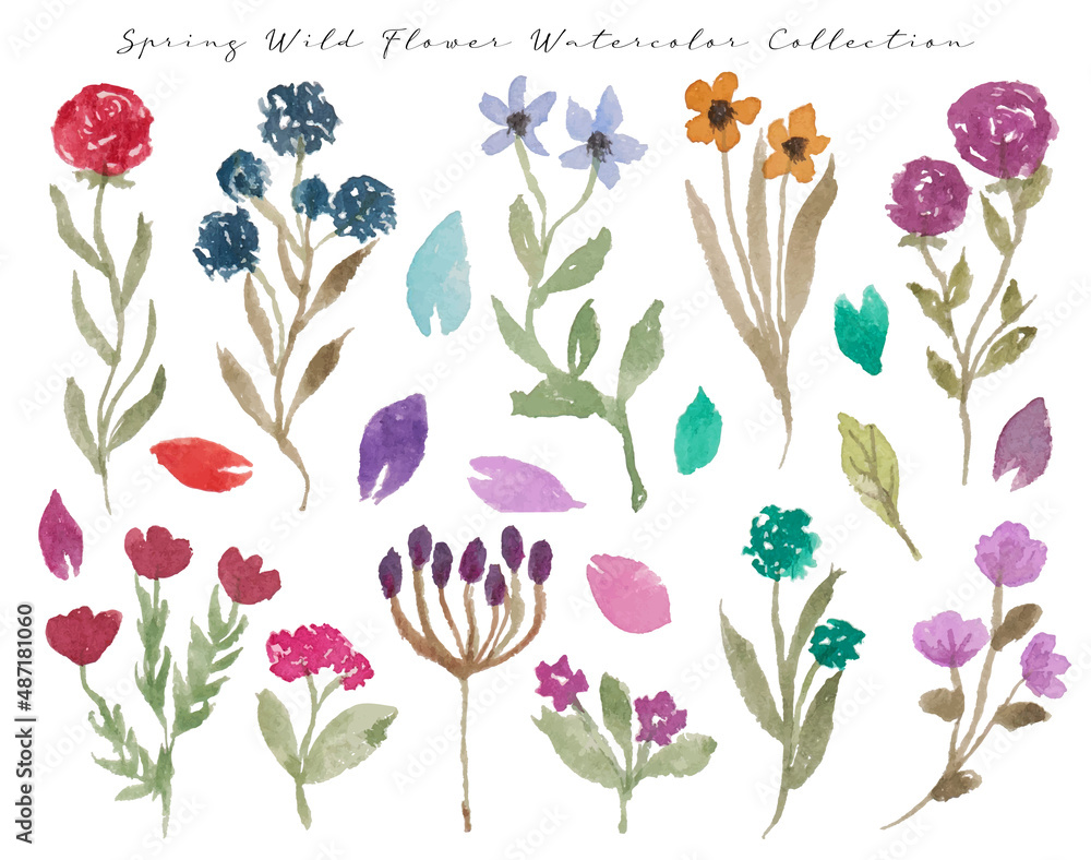 set of cute hand drawn spring wild flowers watercolor