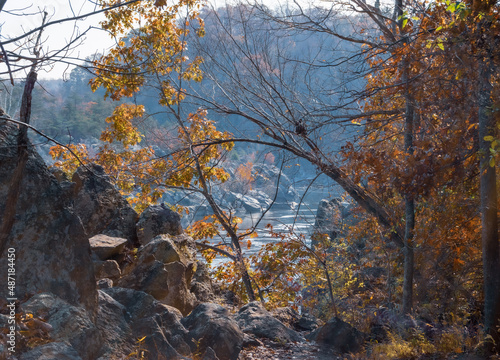 Autumn on the Potomac photo