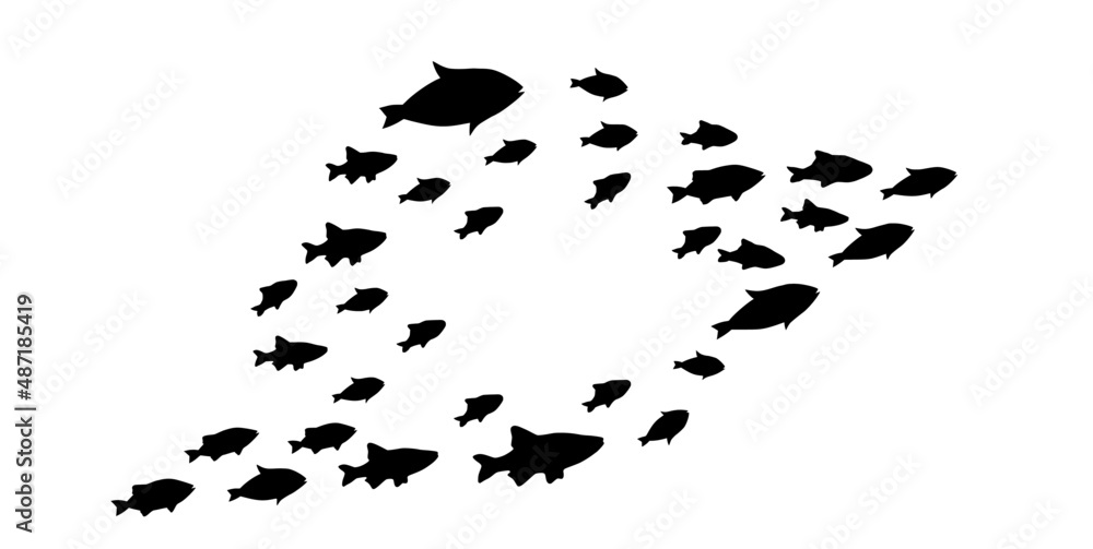 Silhouettes of groups of fishes on white. Vector Silhouettes of groups of fishes on white. Vector