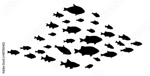 Silhouettes of groups of fishes on white. Vector