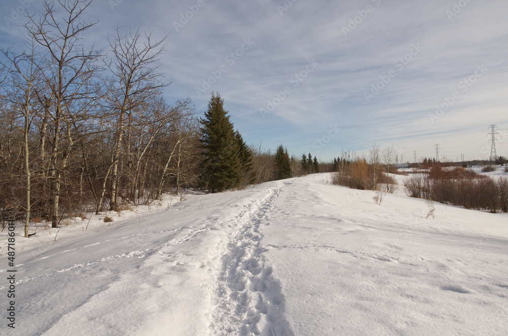 Pylypow Wetlands in the Winter Season Pylypow Wetlands in the Winter Season