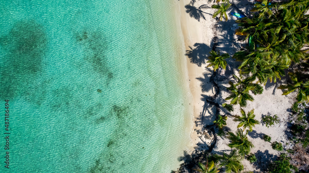 Aerial top down view of the beautiful Stingray Beach with emerald sea and coconut palm trees, Long Island, Bahamas