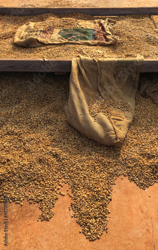 Coffe Bean