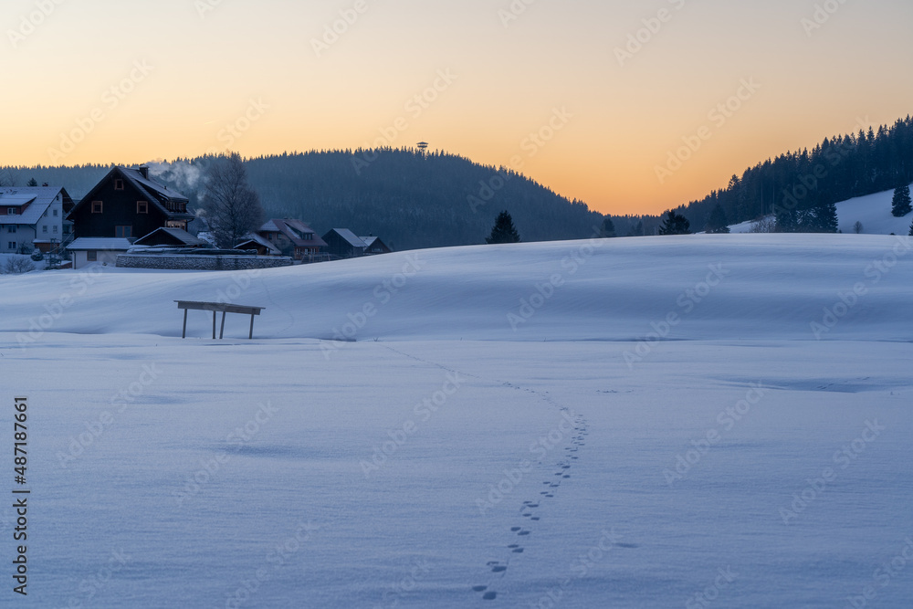Winter am Schluchsee im Schwarzwald Winter am Schluchsee im Schwarzwald