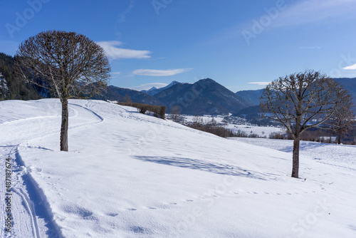 Wallpaper Mural two trees on a winter landscape with a village in a valley in the background Torontodigital.ca