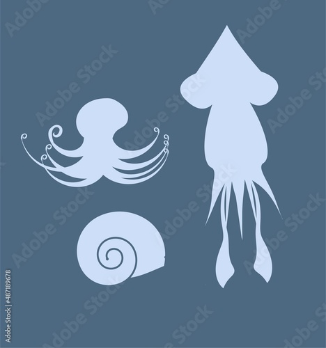 Squid, octopus and a shell.