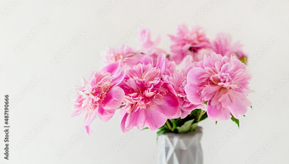 Bouquet of pink peonies in a vase on a white background. Selective focus. Close up. Copy space. Bouquet of pink peonies in a vase on a white background. Selective focus. Close up. Copy space.