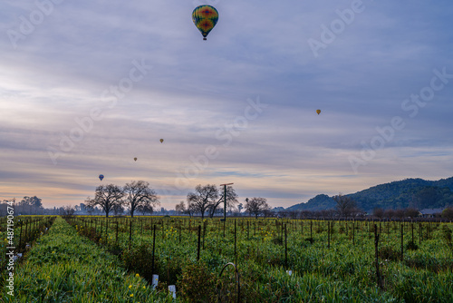 Winter Ballooning Across Napa Valley