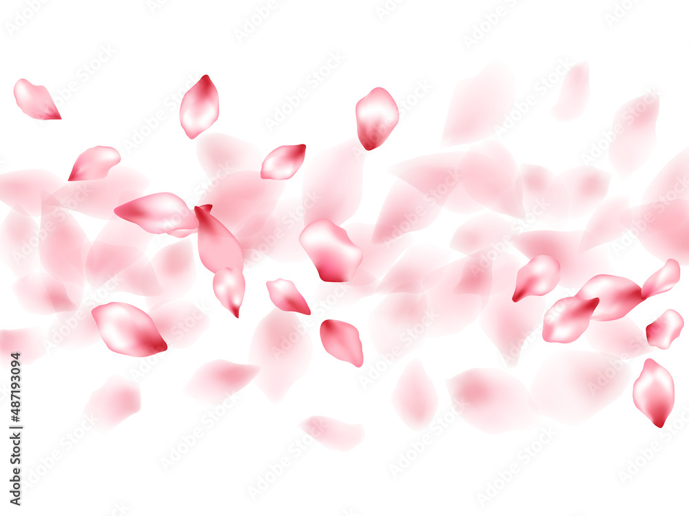 Pink sakura flower flying petals isolated on white vector background. Pink sakura flower flying petals isolated on white vector background.