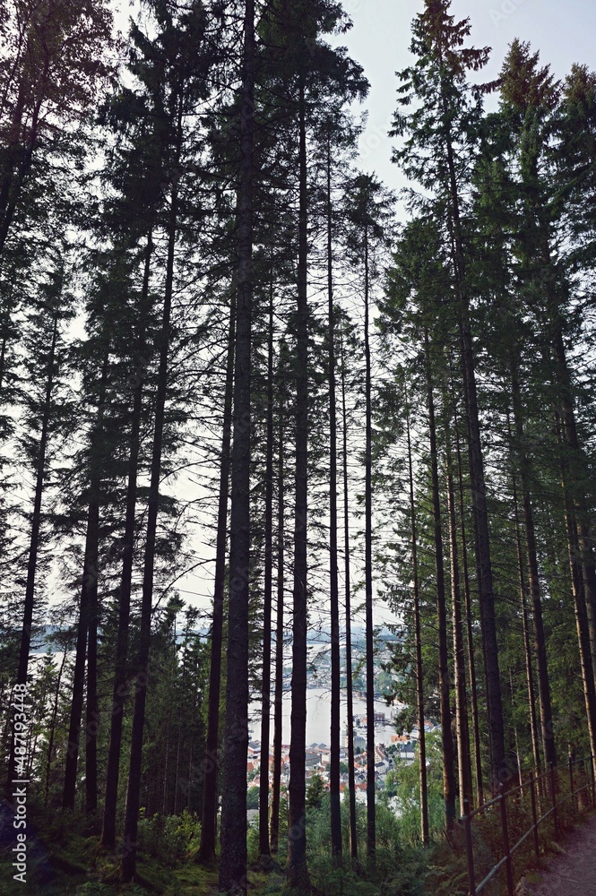 Obraz premium norway noruega nature fjords slow life 