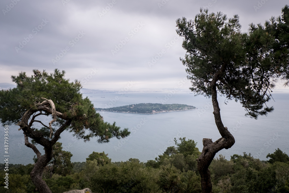 island view behind the trees, a small island in the distance, selective focus island view behind the trees, a small island in the distance, selective focus