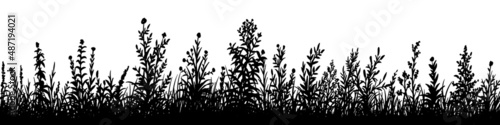 Vector silhouette of grass and bushes on white background