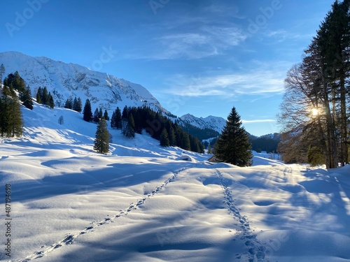 Wonderful winter hiking trails and traces on the fresh alpine snow cover of the Swiss Alps, Schwägalp (or Schwaegalp) mountain pass - Canton of Appenzell Ausserrhoden, Switzerland (Schweiz)