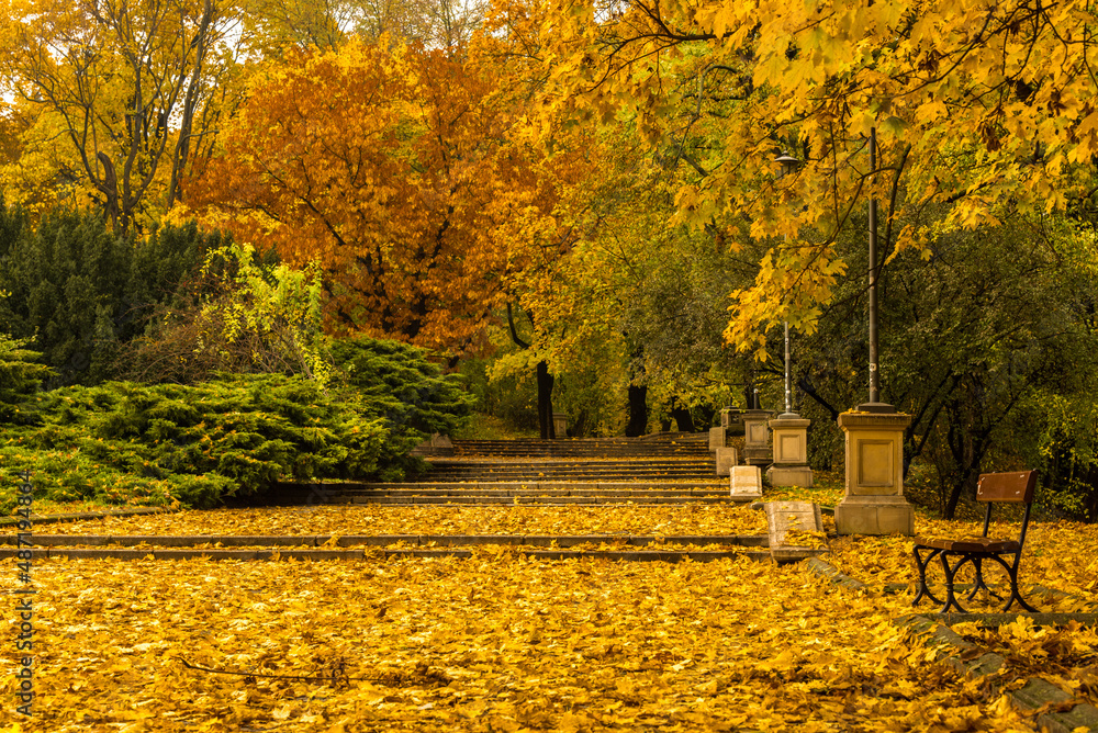 Naklejka premium Lazienki Park Warsaw in Autumn