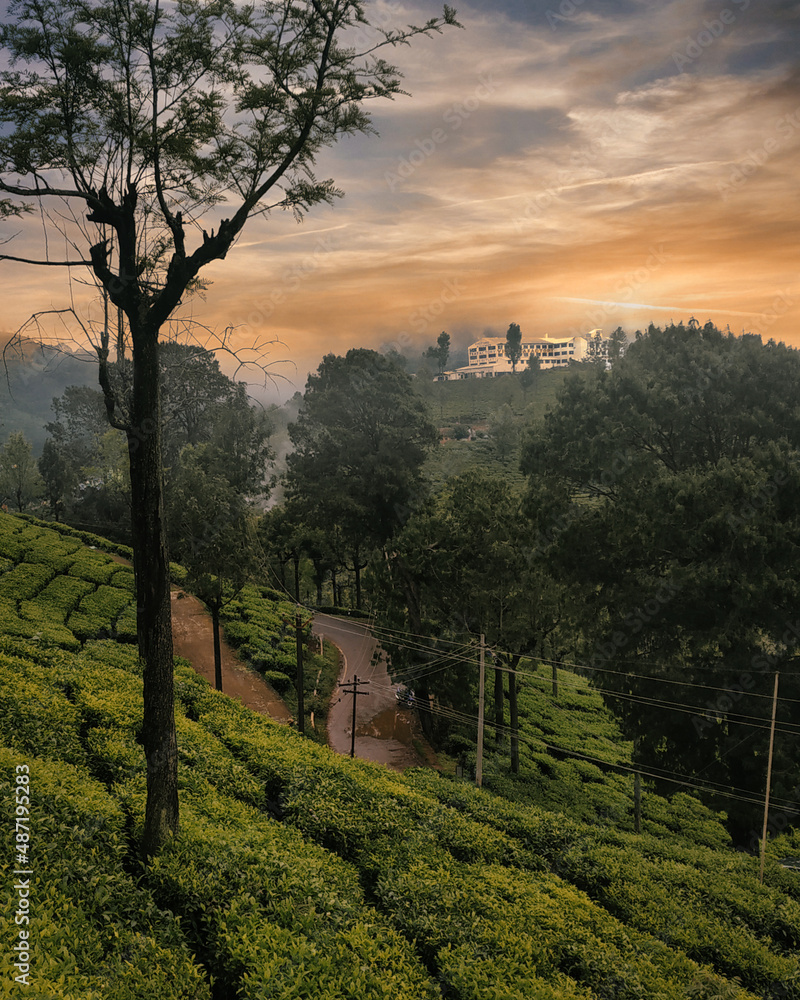 Naklejka premium the old castle in the morning